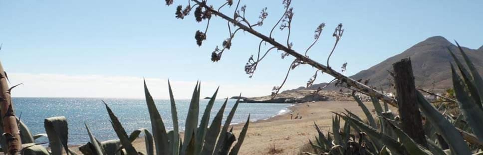 Hostal Casa Emilio Almería Eksteriør billede